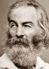 Whitman